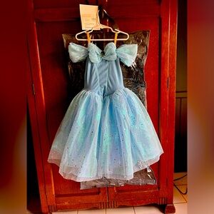Blue ballet tutu costume ‘Cinderella’